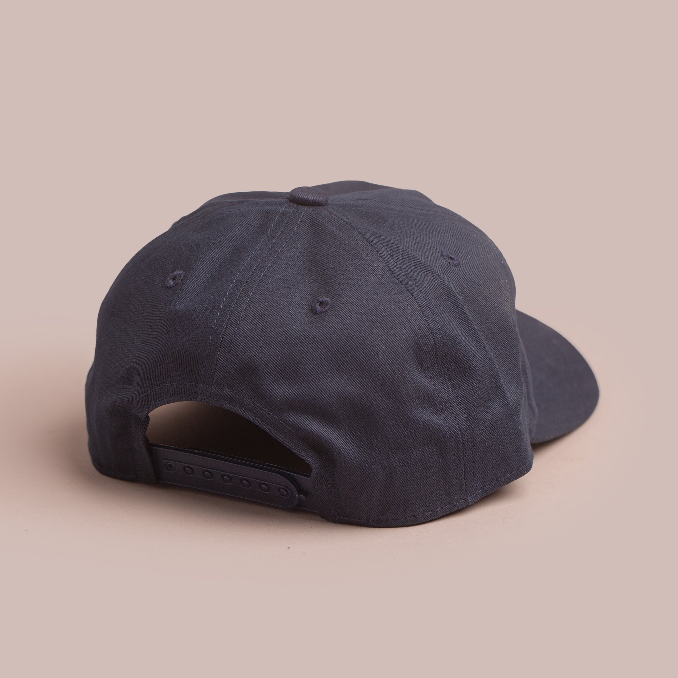 Bud Dry Dad Cap
