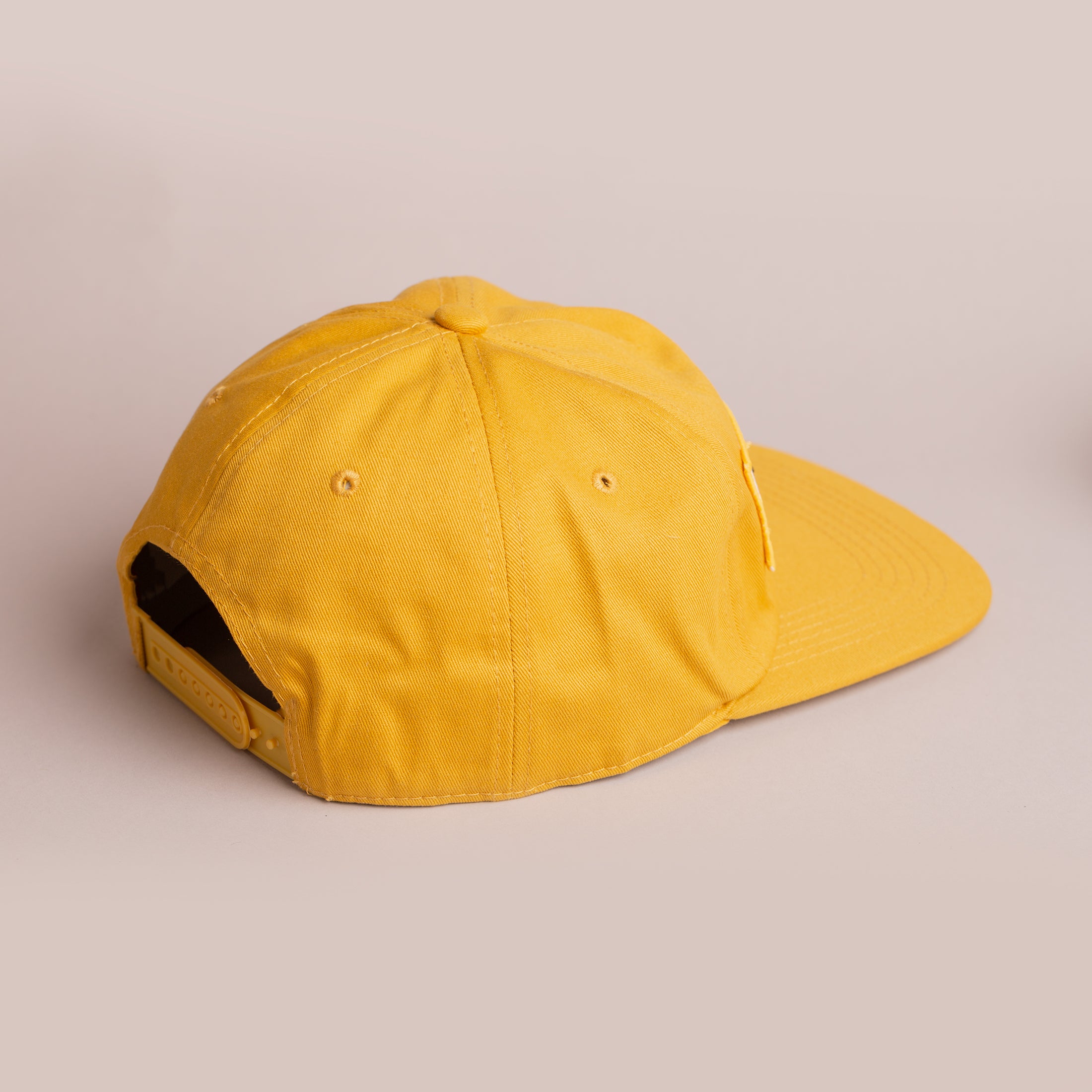 Renault F1