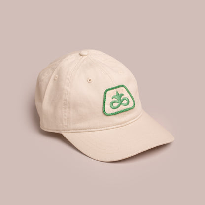 Pioneer Dad Cap