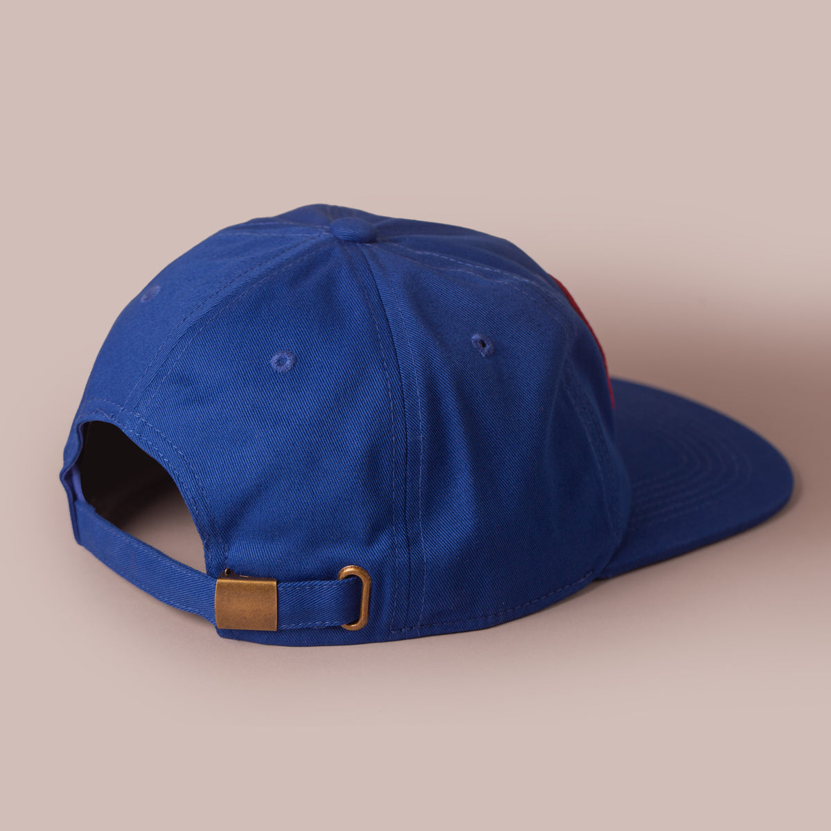 Tindle Feeds 6-Panel Strapback Hat