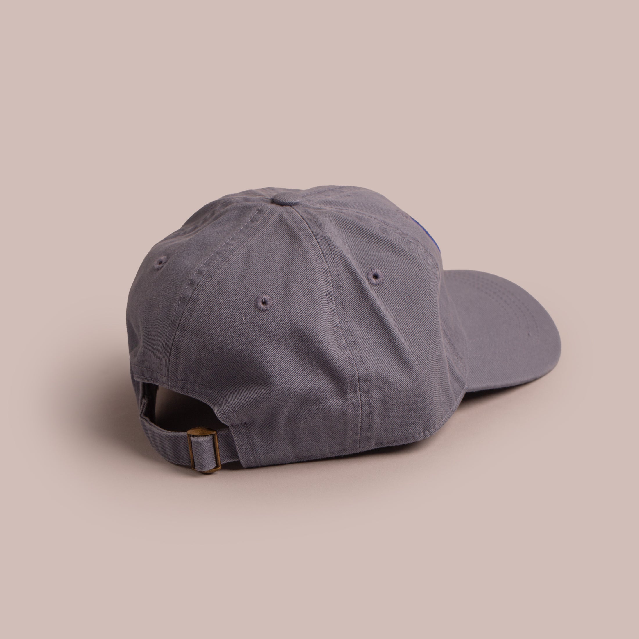 Ontario Place Dad Cap