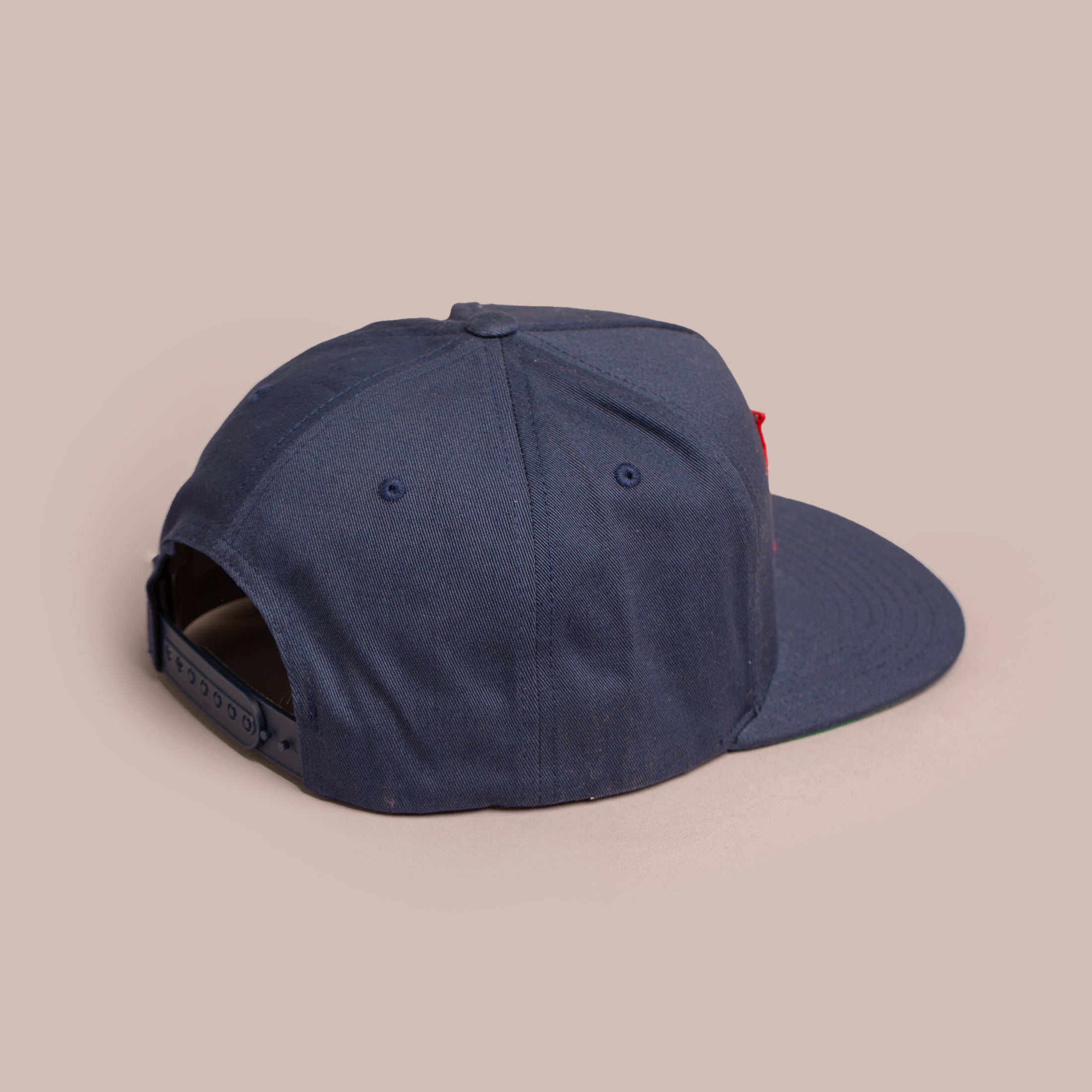 Gutwein Seeds Snapback Hat