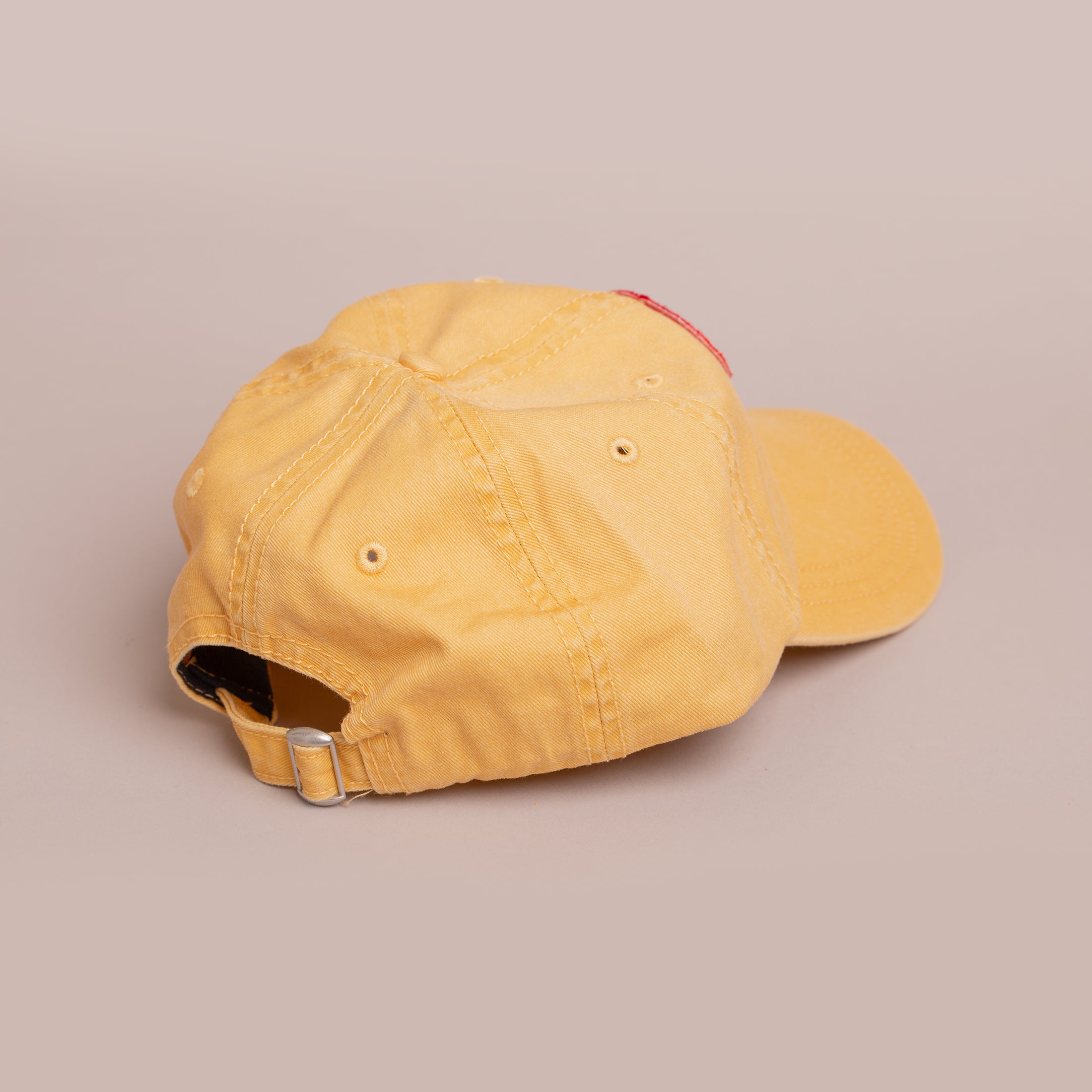 Shell Dad Cap