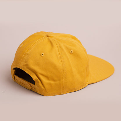 Alberta Hail & Crop Insurance