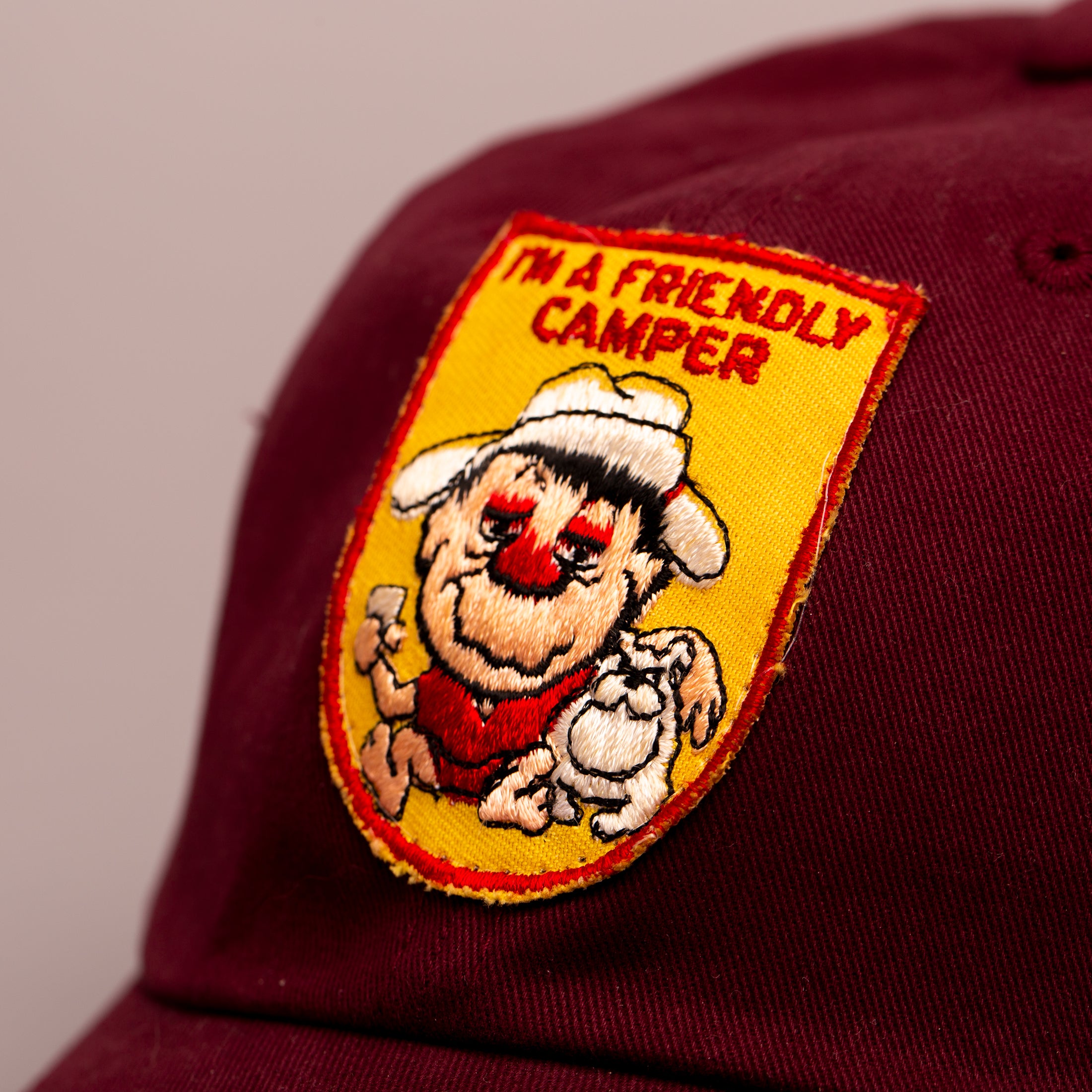 Friendly Camper