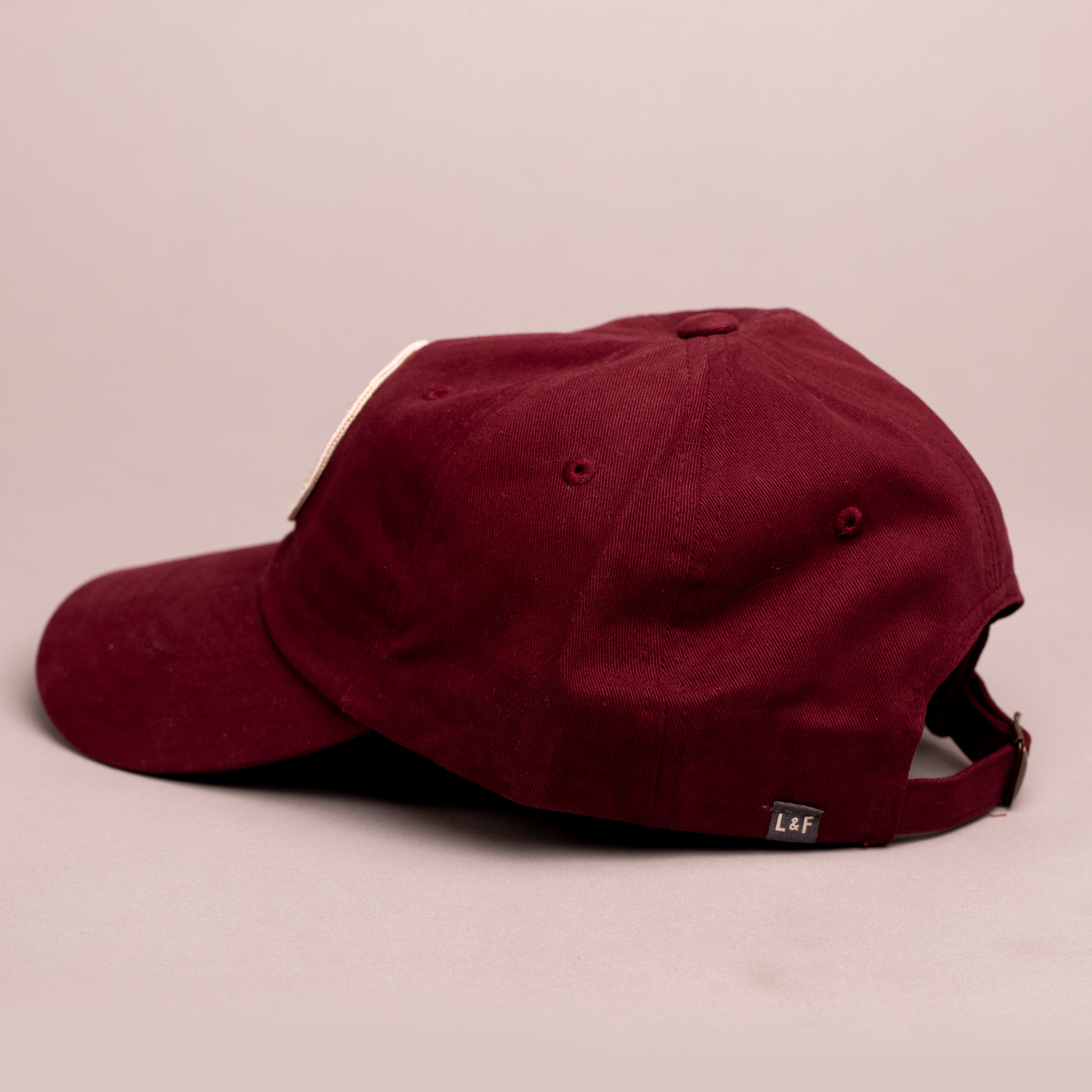 Syngenta Seeds Dad Cap