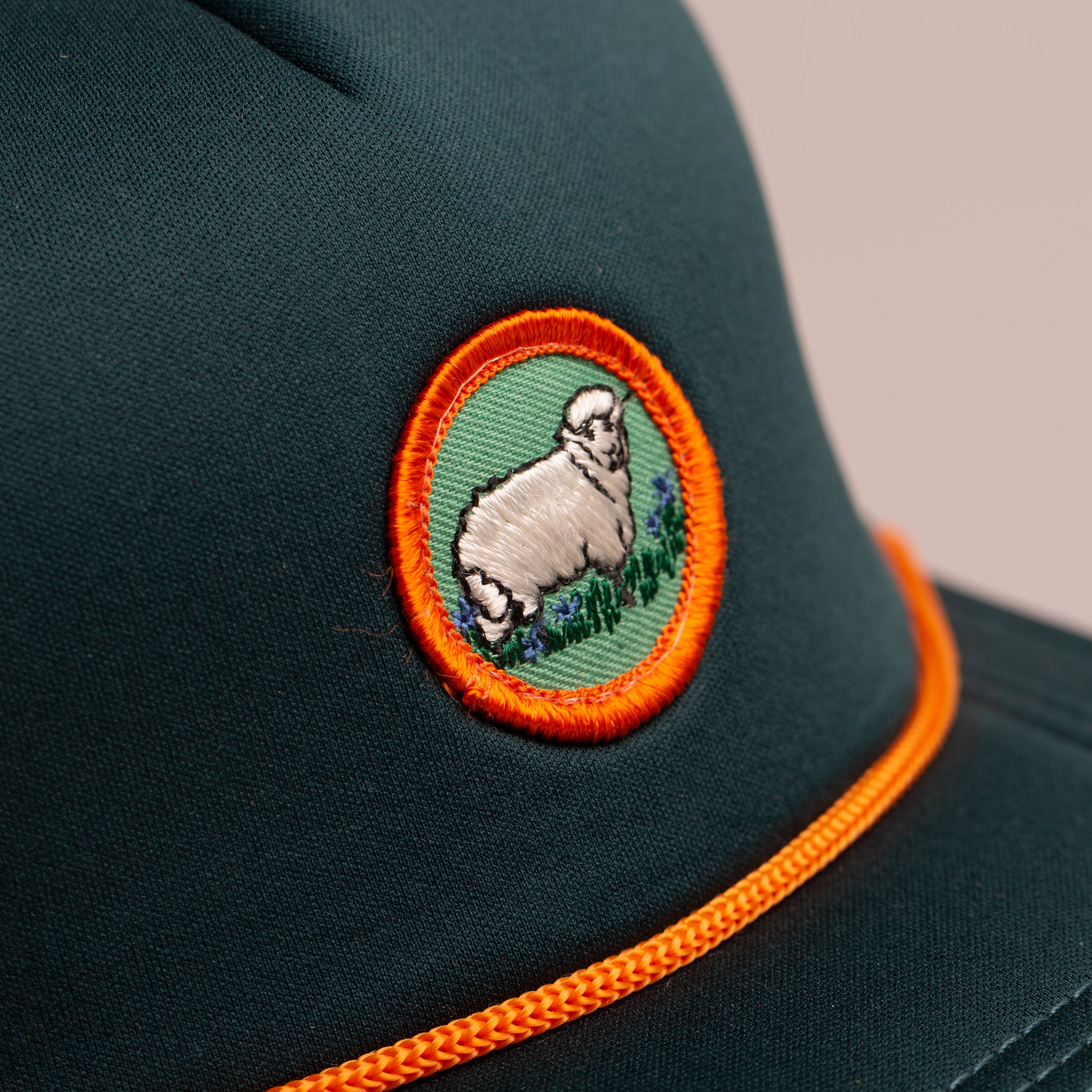 Sheep